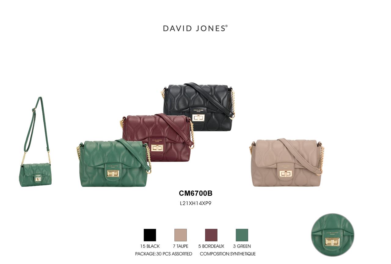 BOLSO DE MANO DAVID JONES CM6700B